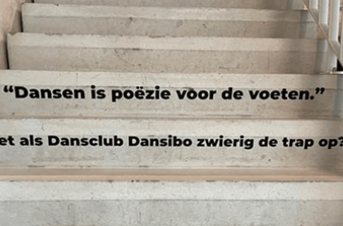 Dansibo